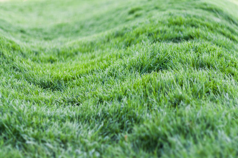 Robot lawn mowers in uneven yards: What you need to know
